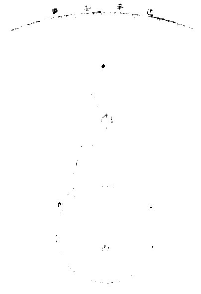 七政视差图