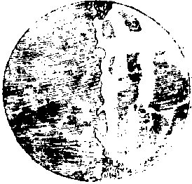 月上弦形图
