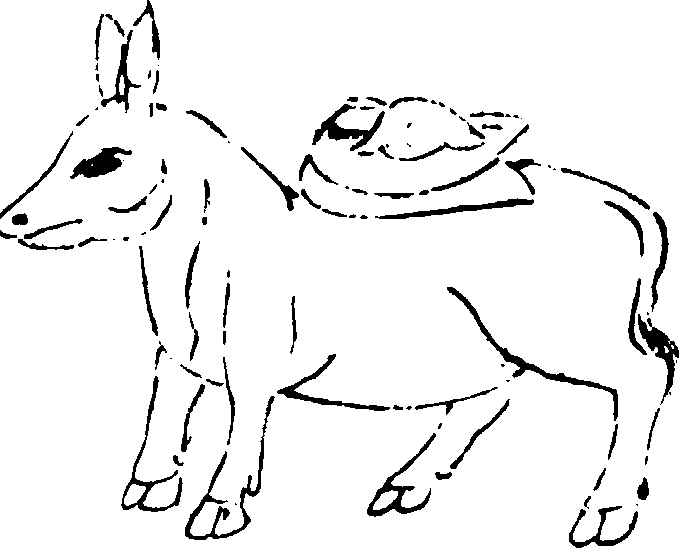 〔插图〕