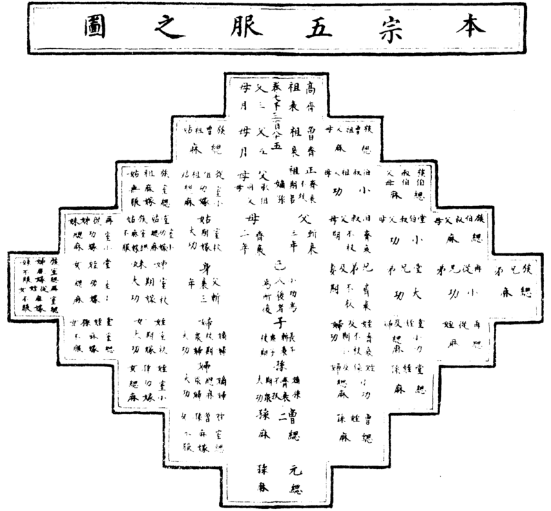 〔插图〕