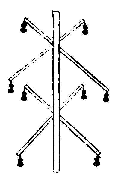 〔插图〕