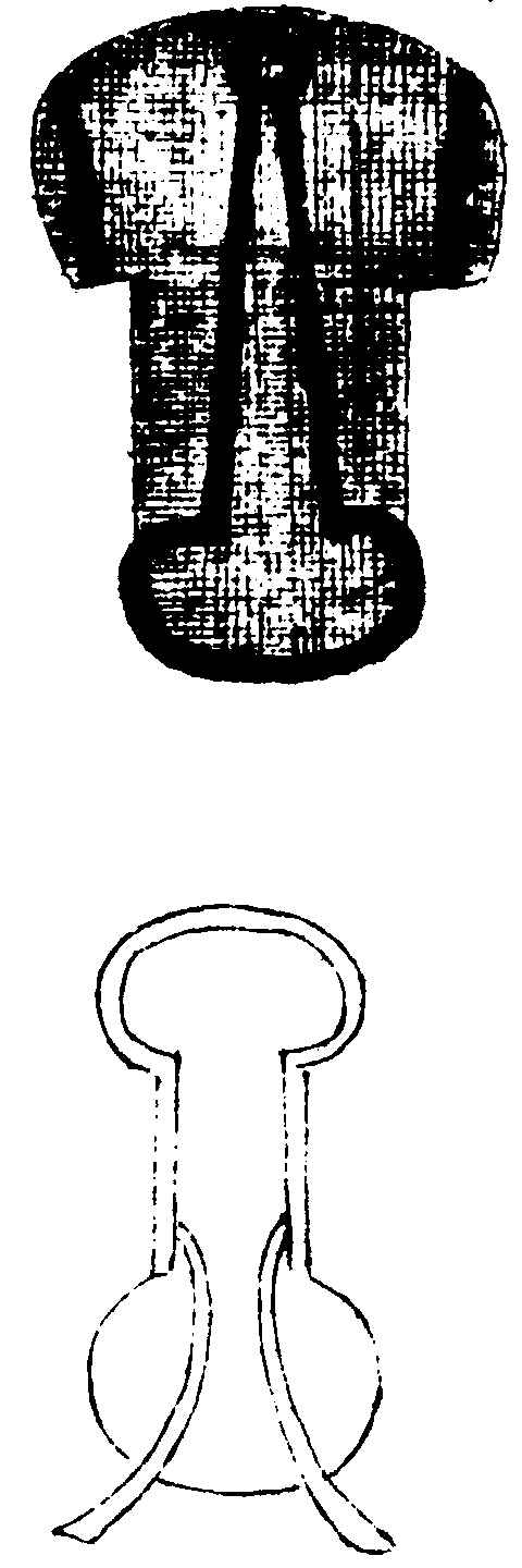〔插图〕