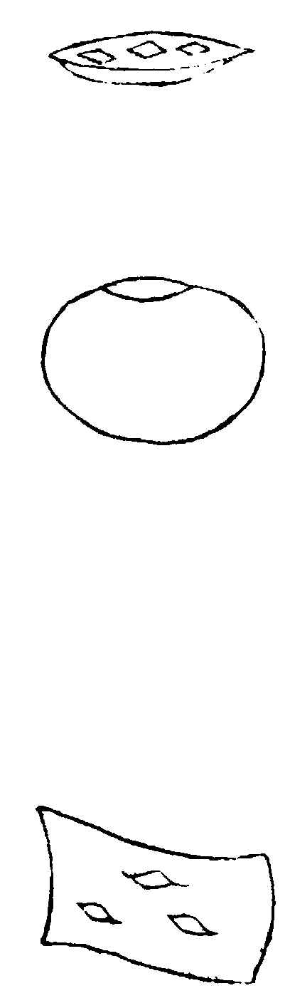 〔插图〕