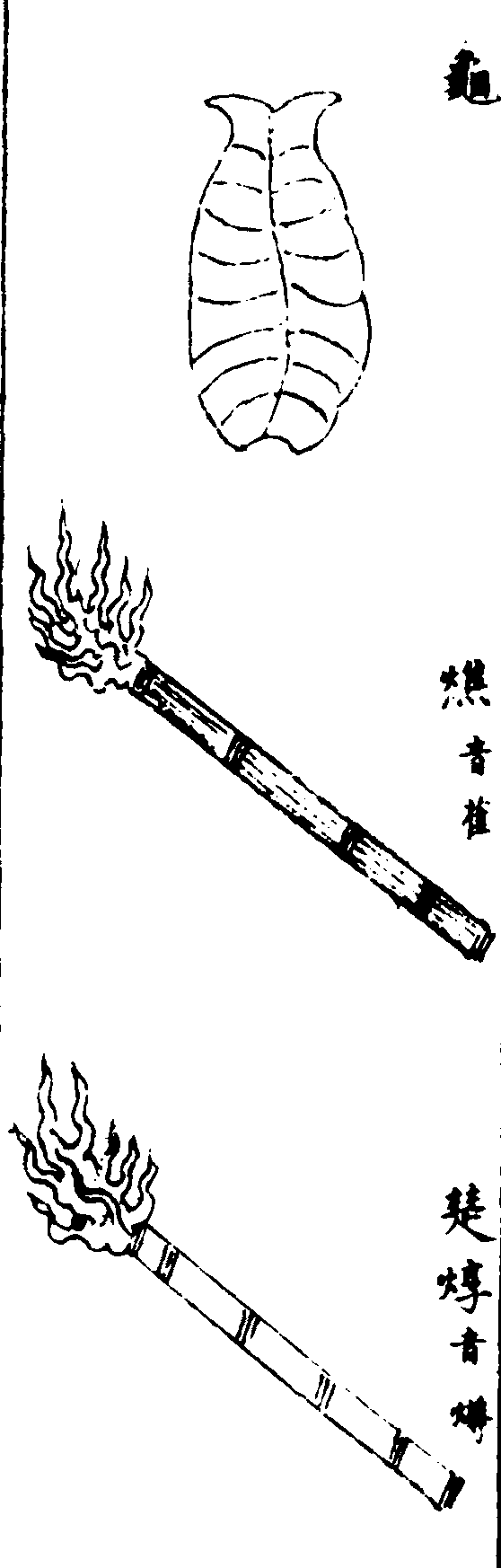 〔插图〕