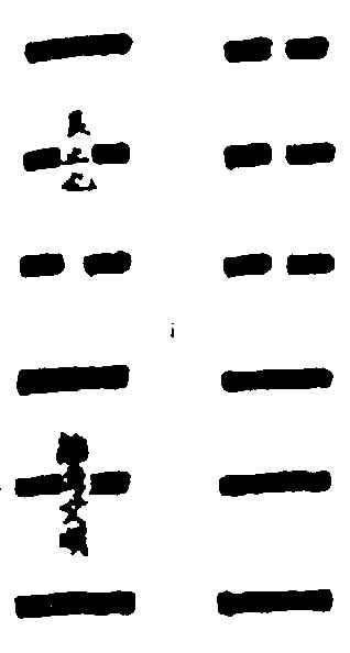 〔插图〕