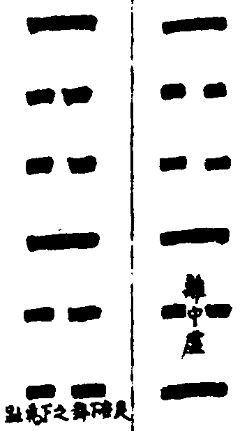 〔插图〕