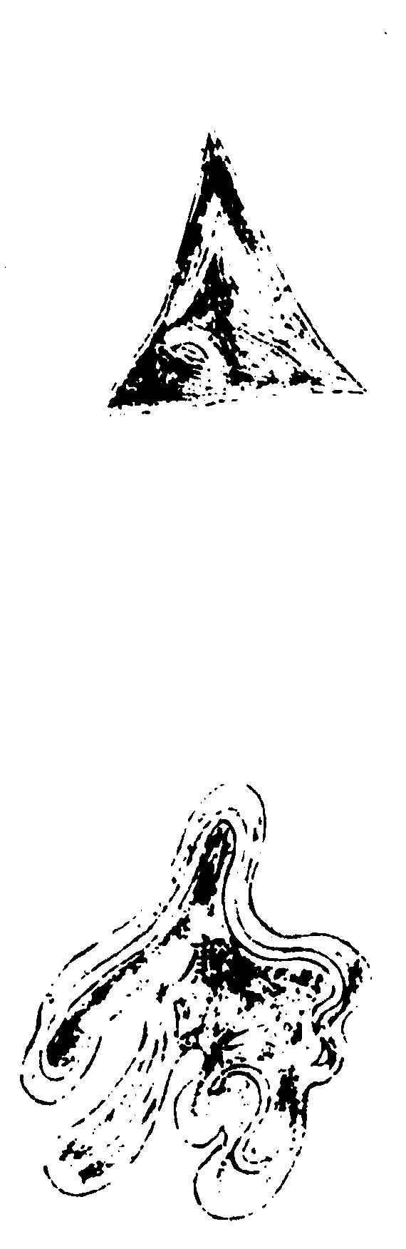〔插图〕