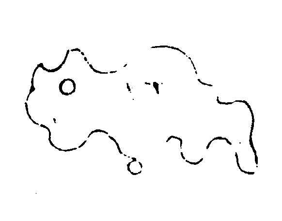 〔插图〕