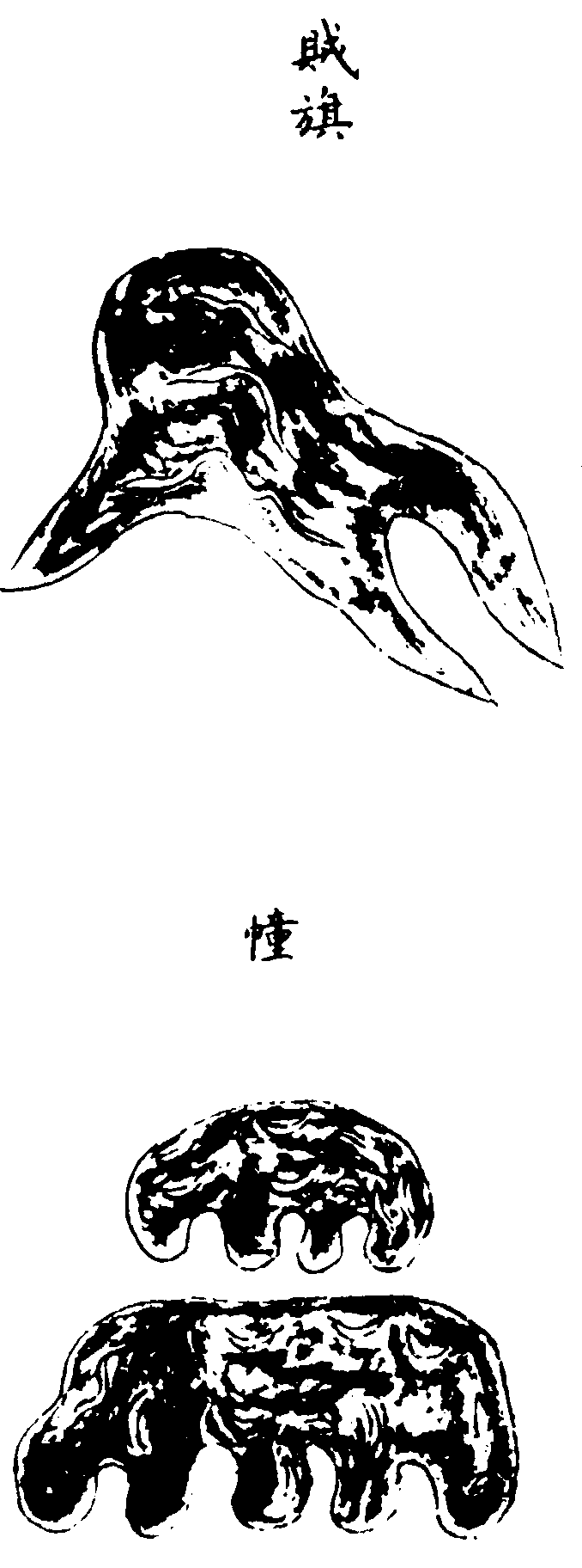 〔插图〕