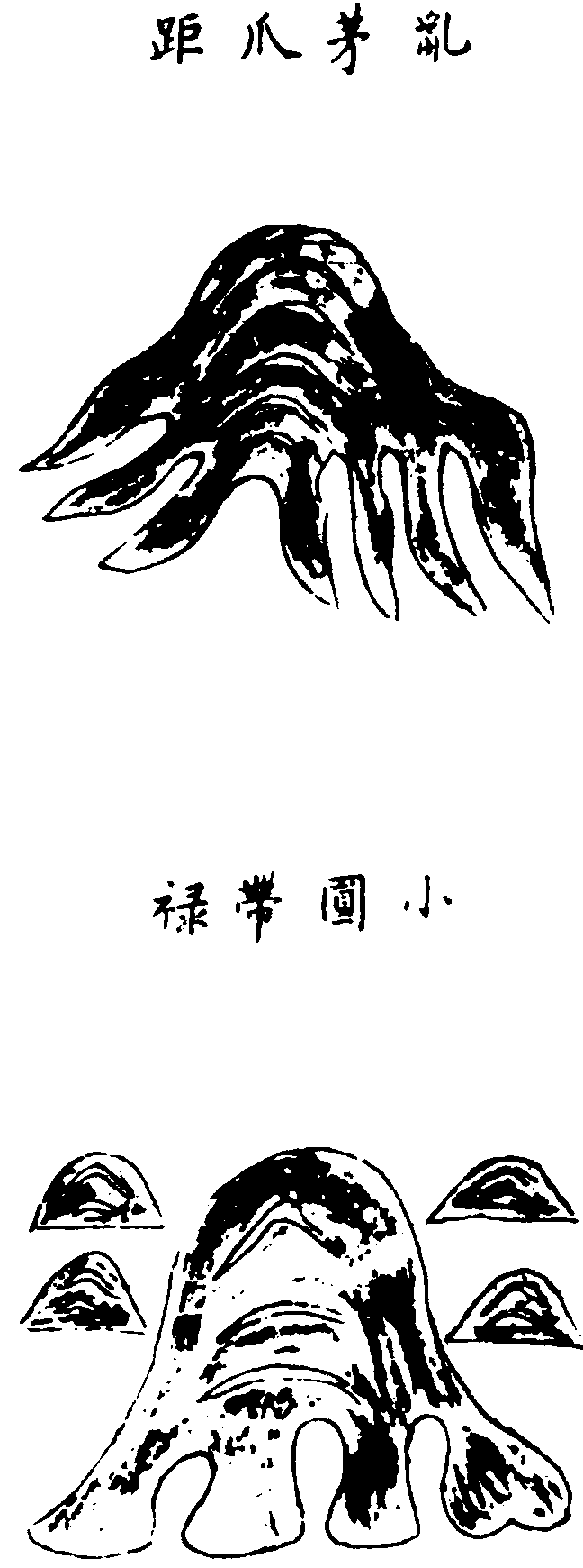 〔插图〕