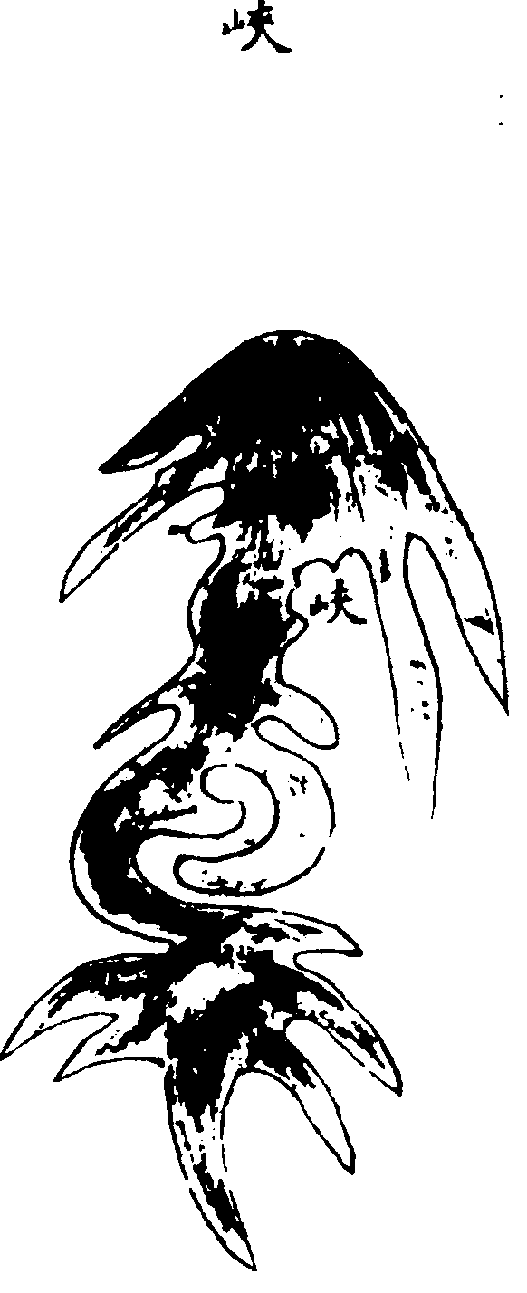 〔插图〕