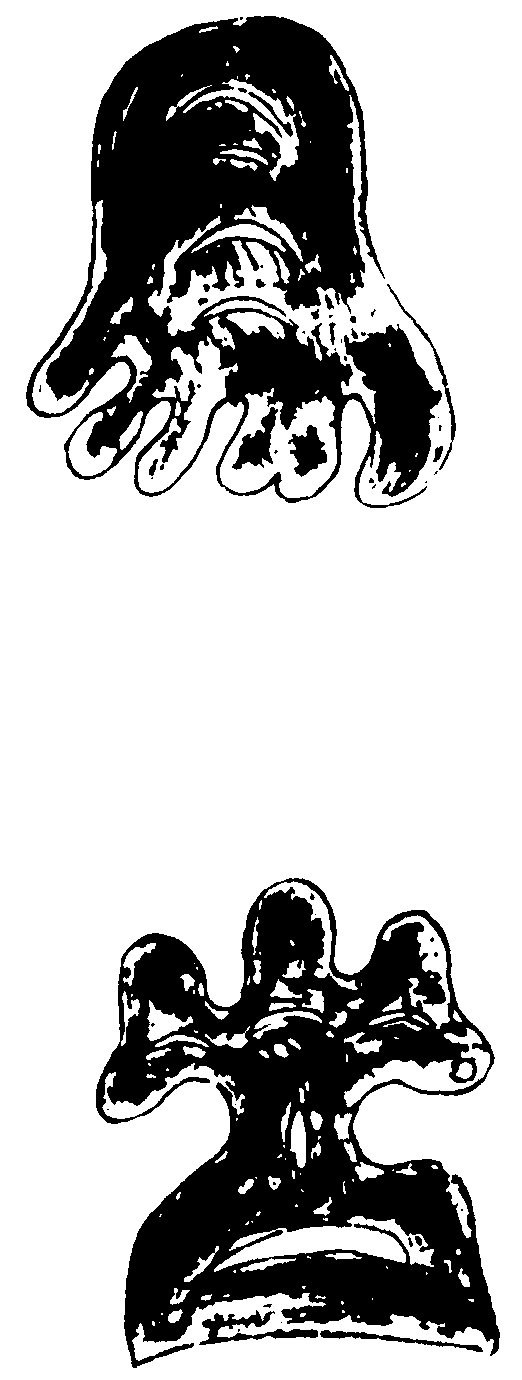 〔插图〕