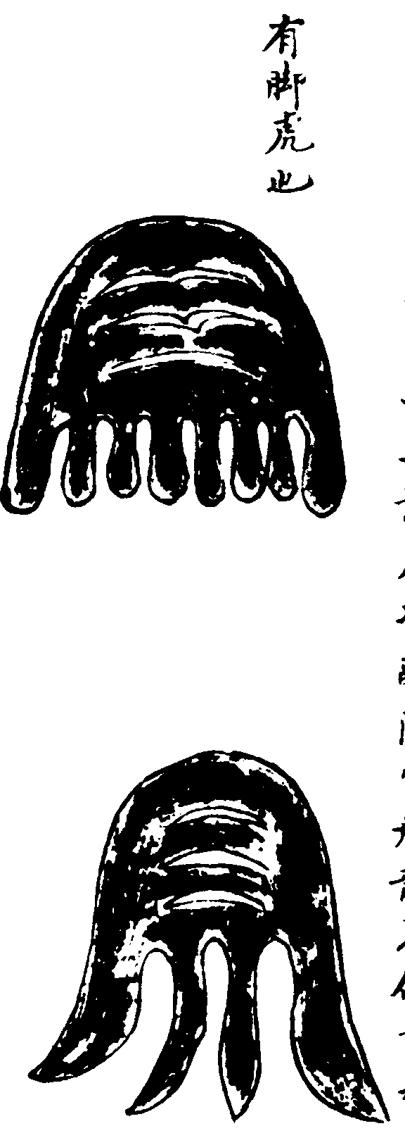 〔插图〕