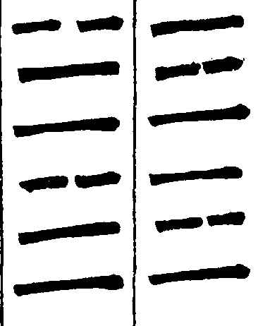 〔插图〕