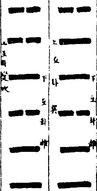 〔插图〕