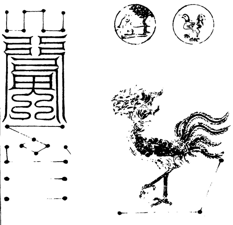 〔插图〕