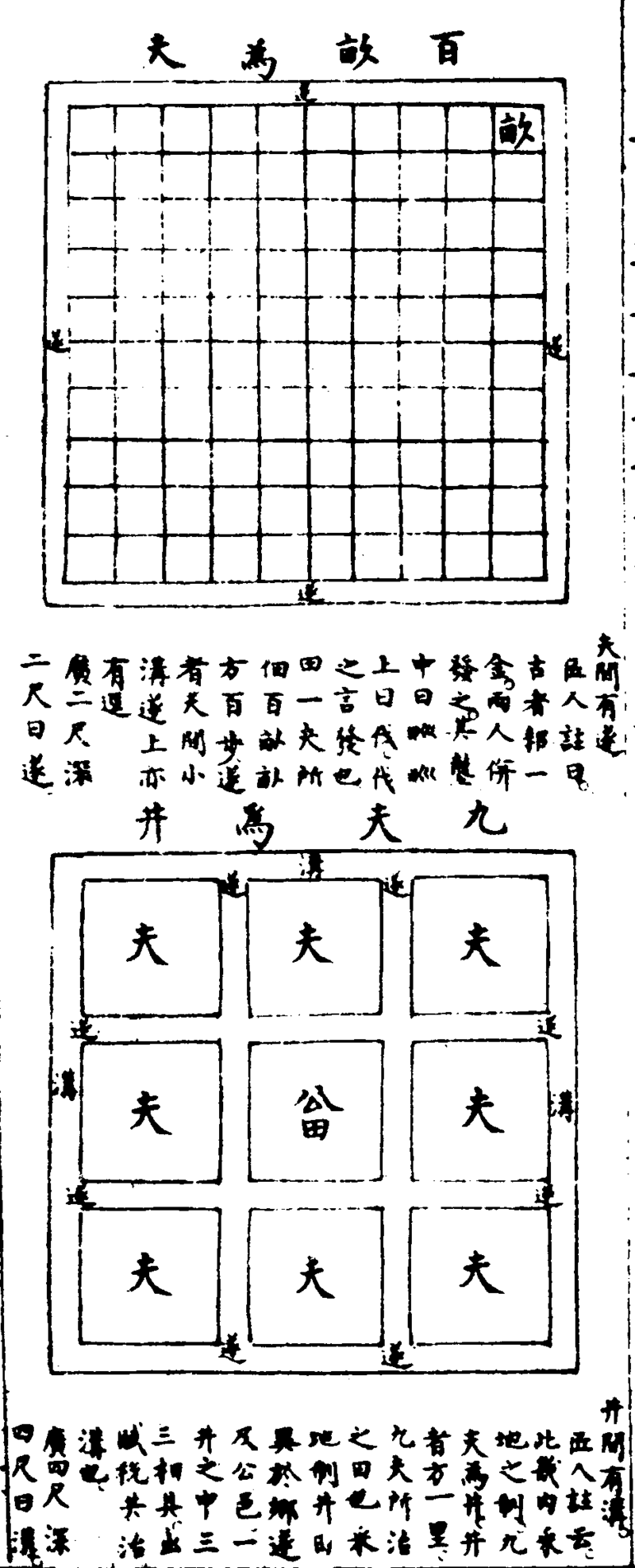 〔插图〕
