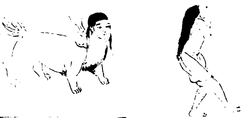 〔插图〕