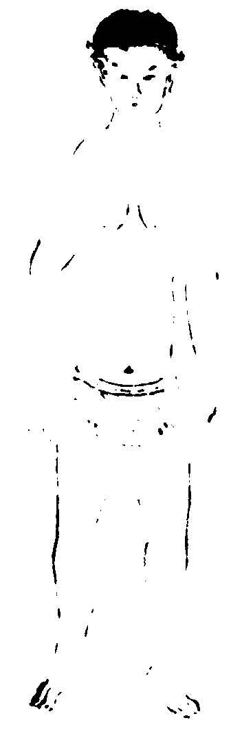 〔插图〕