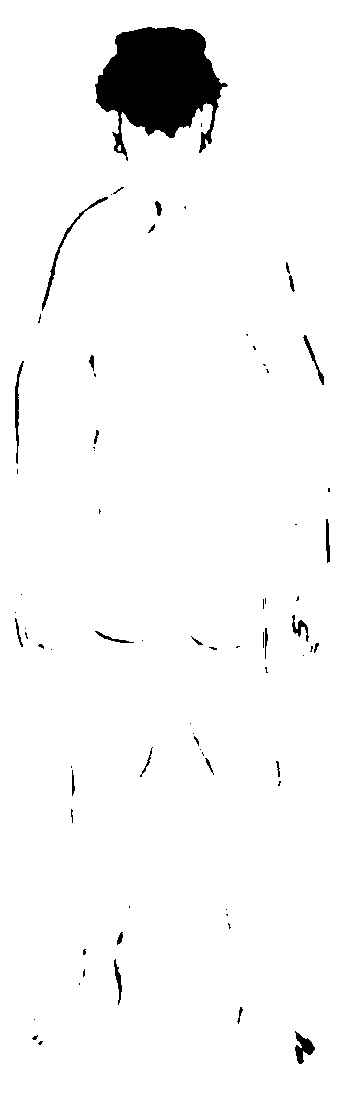 〔插图〕