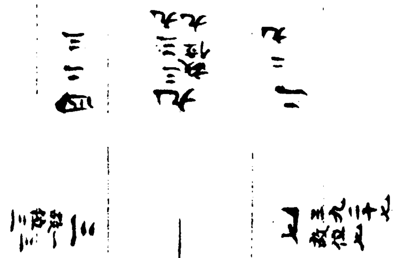 〔插图〕