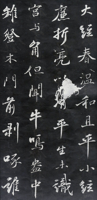 听贤师定慧琴1