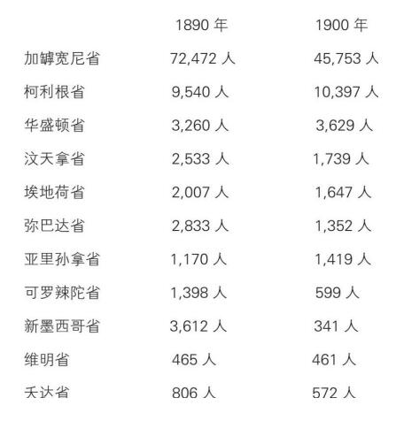 新大陆游记