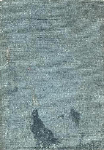 爱眉小札