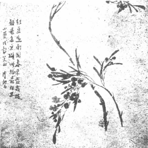 志摩日记