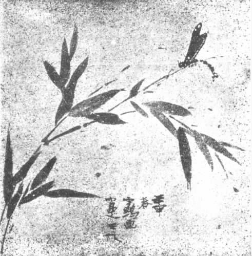 志摩日记