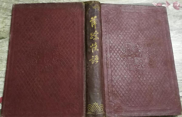 萍踪忆语